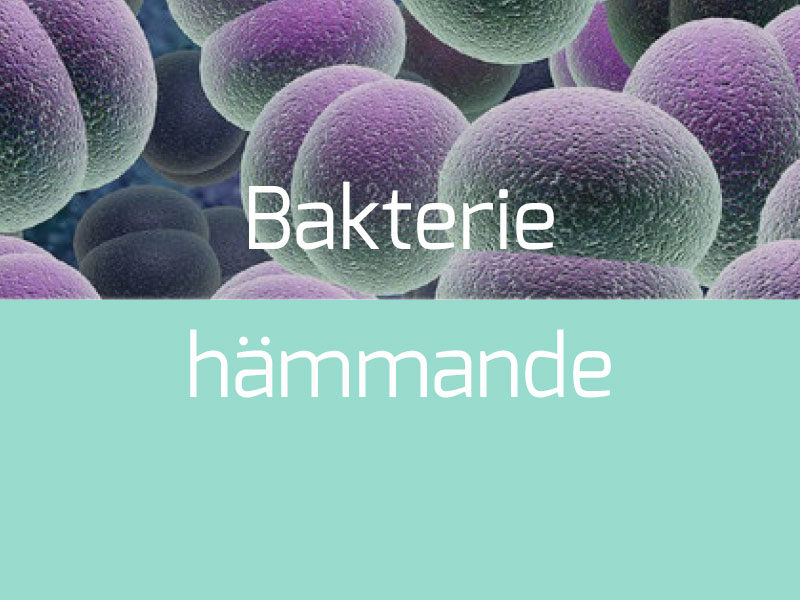 Bakteriehämmande Termoplast